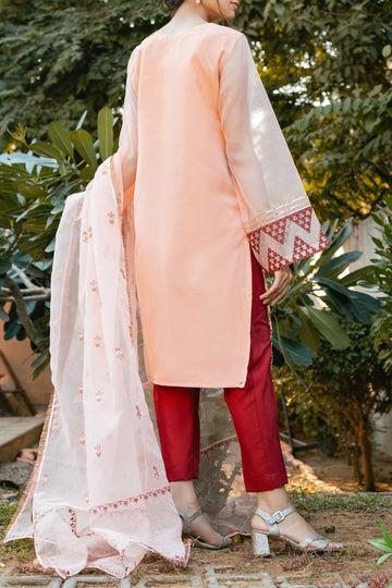 EDARA – Stitched 3PC Embroidered Organza Suit