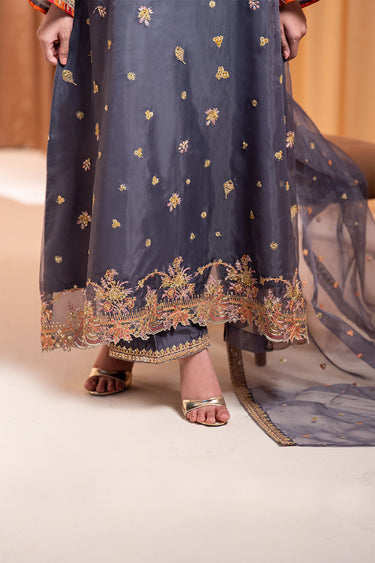 3 Piece - Embroidered Organza Suit