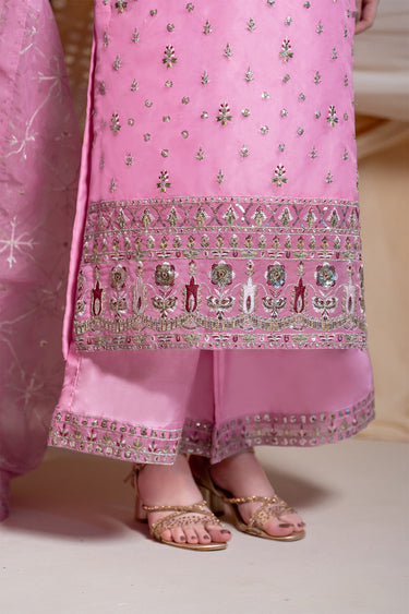 3 Piece - Embroidered Organza Suit
