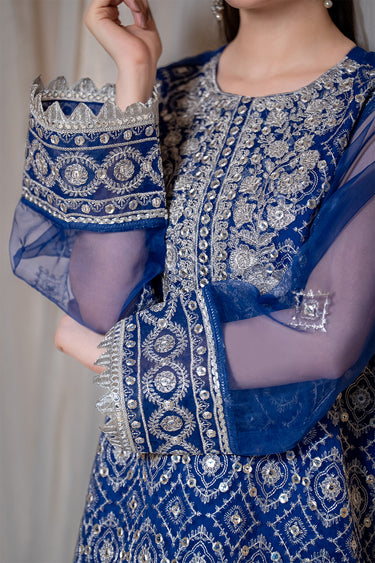 3 Piece - Embroidered Organza Suit
