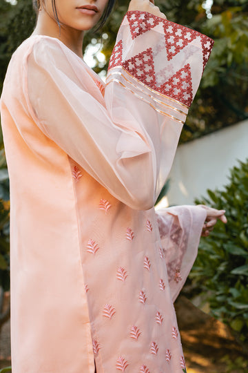 EDARA – Stitched 3PC Embroidered Organza Suit