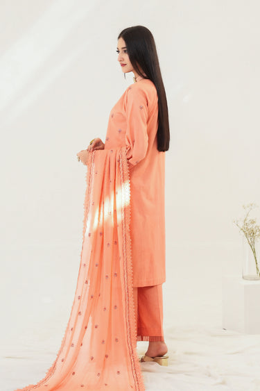 3 Piece - Embroidered Lawn Suit