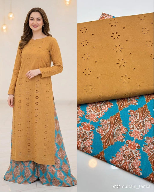 Latest Chikankari 2 Piece Collection