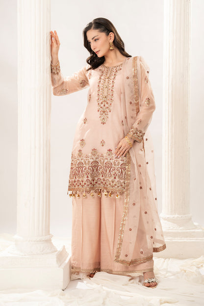 3 Piece - Embroidered Organza Suit